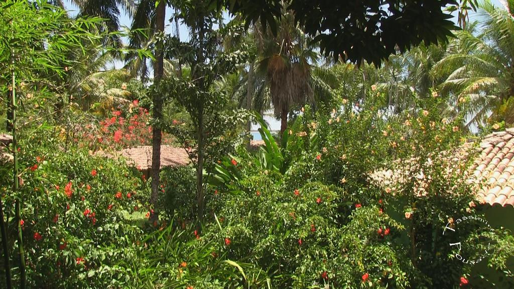Velha Boipeba Pousada Tassimirim מראה חיצוני תמונה
